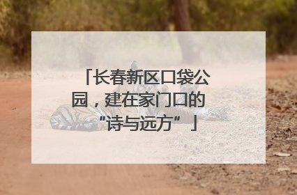 长春新区口袋公园，建在家门口的“诗与远方”