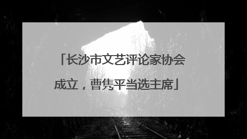 长沙市文艺评论家协会成立，曹隽平当选主席