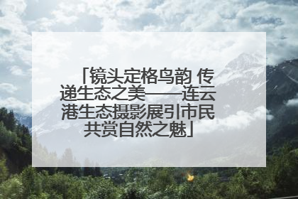 镜头定格鸟韵 传递生态之美——连云港生态摄影展引市民共赏自然之魅