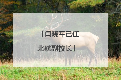 闫晓军已任北航副校长
