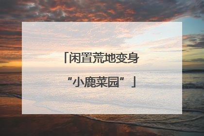 闲置荒地变身“小鹿菜园”
