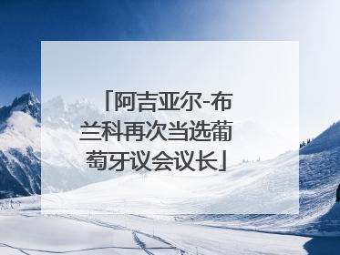 阿吉亚尔-布兰科再次当选葡萄牙议会议长