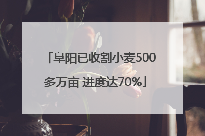 阜阳已收割小麦500多万亩 进度达70%
