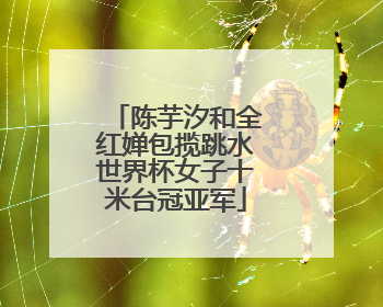 陈芋汐和全红婵包揽跳水世界杯女子十米台冠亚军