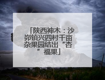 陕西神木：沙峁镇兴四村千亩杂果园结出“杏”福果