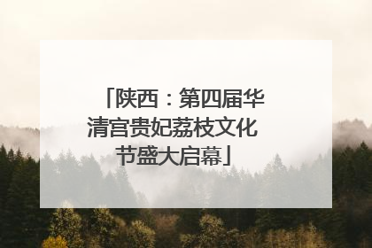 陕西：第四届华清宫贵妃荔枝文化节盛大启幕