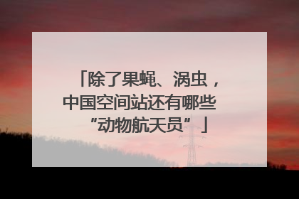 除了果蝇、涡虫，中国空间站还有哪些“动物航天员”
