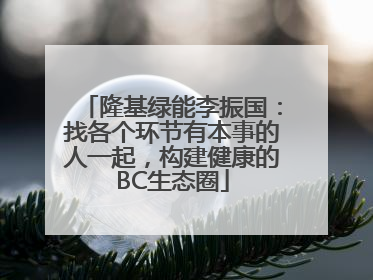 隆基绿能李振国：找各个环节有本事的人一起，构建健康的BC生态圈