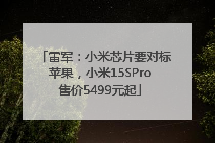 雷军：小米芯片要对标苹果，小米15SPro售价5499元起