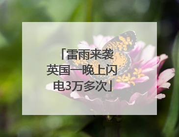雷雨来袭 英国一晚上闪电3万多次