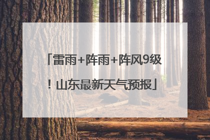 雷雨+阵雨+阵风9级！山东最新天气预报