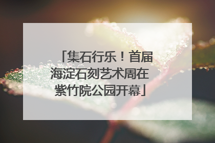 集石行乐！首届海淀石刻艺术周在紫竹院公园开幕