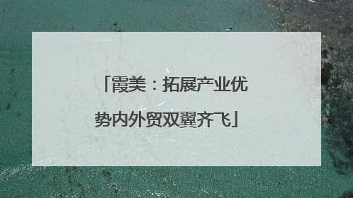 霞美：拓展产业优势内外贸双翼齐飞