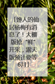 馋人的仙居杨梅有消息了！大棚版抢“鲜”开采，露天版预计要等6月