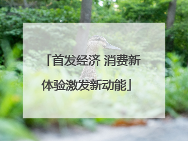 首发经济 消费新体验激发新动能