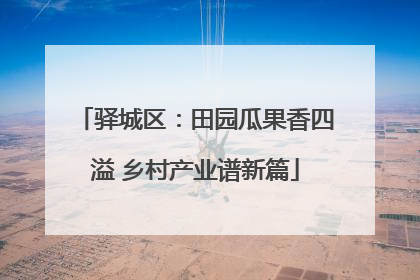 驿城区：田园瓜果香四溢 乡村产业谱新篇