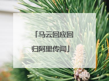 马云回应回归阿里传闻