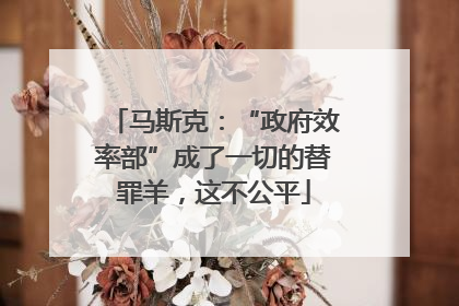 马斯克：“政府效率部”成了一切的替罪羊，这不公平
