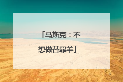 马斯克：不想做替罪羊