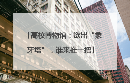 高校博物馆：欲出“象牙塔”，谁来推一把