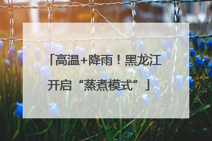 高温+降雨！黑龙江开启“蒸煮模式”