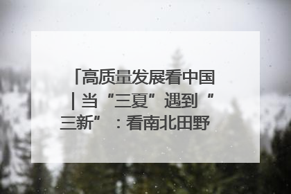 高质量发展看中国｜当“三夏”遇到“三新”：看南北田野里的科技共生记