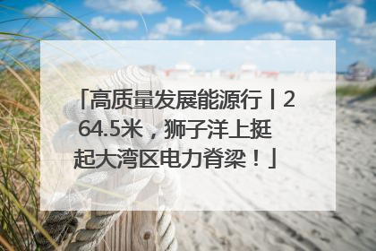 高质量发展能源行丨264.5米，狮子洋上挺起大湾区电力脊梁！