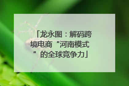 龙永图：解码跨境电商“河南模式”的全球竞争力