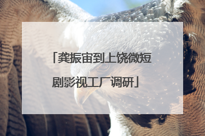 龚振宙到上饶微短剧影视工厂调研