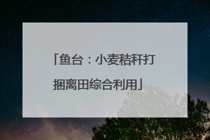鱼台：小麦秸秆打捆离田综合利用