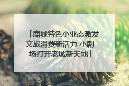 鹿城特色小业态激发文旅消费新活力 小剧场打开老城新天地