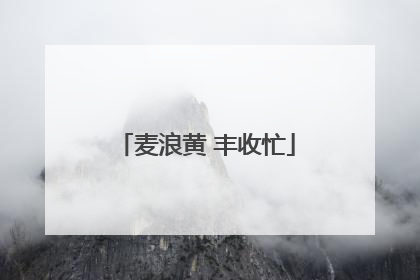 麦浪黄 丰收忙