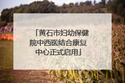 黄石市妇幼保健院中西医结合康复中心正式启用