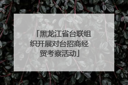 黑龙江省台联组织开展对台招商经贸考察活动