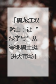 黑龙江双鸭山：让“绿字号”从寒地黑土挺进大市场