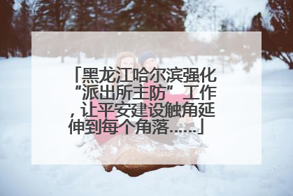 黑龙江哈尔滨强化“派出所主防”工作，让平安建设触角延伸到每个角落……