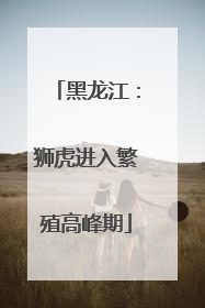 黑龙江：狮虎进入繁殖高峰期