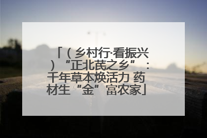 （乡村行·看振兴）“正北芪之乡”：千年草本焕活力 药材生“金”富农家