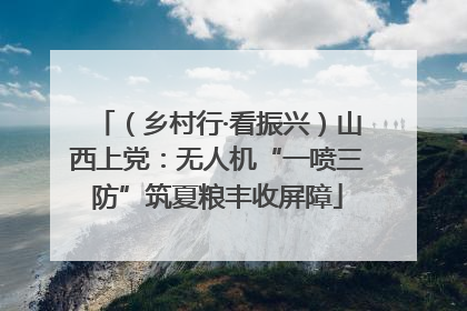 （乡村行·看振兴）山西上党：无人机“一喷三防”筑夏粮丰收屏障