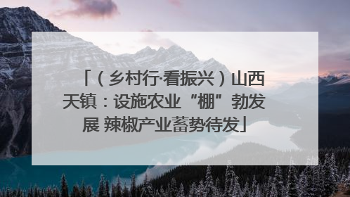 （乡村行·看振兴）山西天镇：设施农业“棚”勃发展 辣椒产业蓄势待发