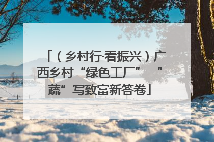 （乡村行·看振兴）广西乡村“绿色工厂” “蔬”写致富新答卷