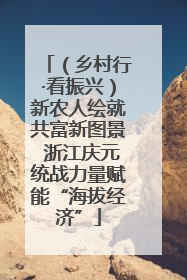 （乡村行·看振兴）新农人绘就共富新图景 浙江庆元统战力量赋能“海拔经济”