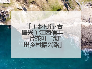 （乡村行·看振兴）江西信丰一片茶叶“沏”出乡村振兴路