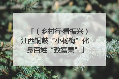 （乡村行·看振兴）江西铜鼓“小杨梅”化身百姓“致富果”