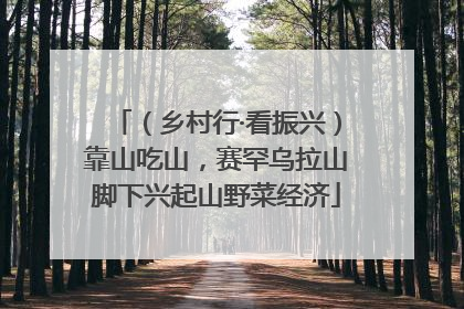 （乡村行·看振兴）靠山吃山，赛罕乌拉山脚下兴起山野菜经济
