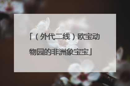 （外代二线）欧宝动物园的非洲象宝宝