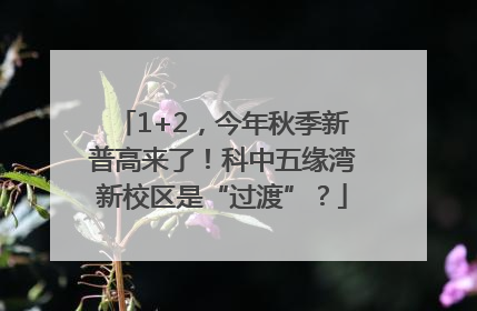 1+2，今年秋季新普高来了！科中五缘湾新校区是“过渡”？