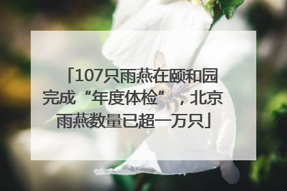 107只雨燕在颐和园完成“年度体检”，北京雨燕数量已超一万只