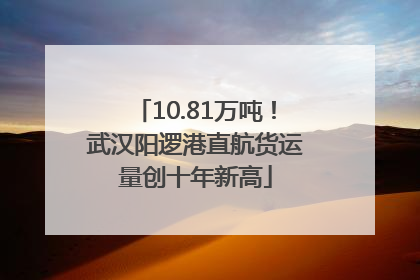 10.81万吨！武汉阳逻港直航货运量创十年新高