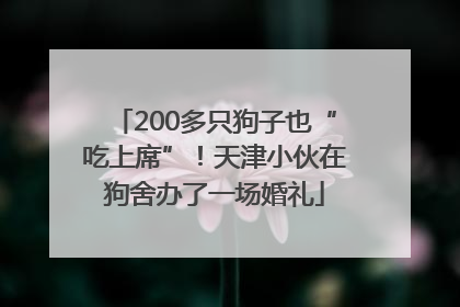 200多只狗子也“吃上席”！天津小伙在狗舍办了一场婚礼